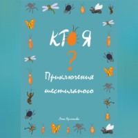 Кто я? Приключения шестилапого