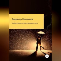 Швабра и Веник, или Блюз в двенадцать тактов