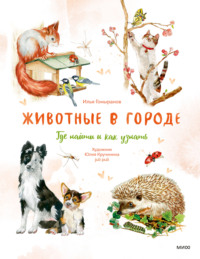 Животные в городе. Где найти и как узнать