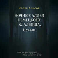 Ночные аллеи Немецкого кладбища. Начало.