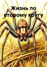 Жизнь по второму кругу