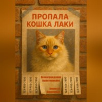 Пропала кошка Лаки