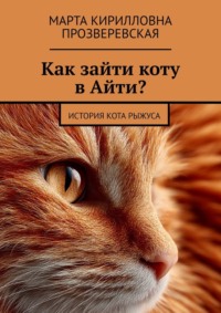 Как зайти коту в Айти? История кота Рыжуса