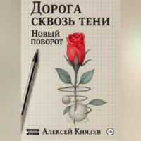 Дорога сквозь тени. Новый поворот