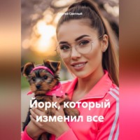 Йорк,который изменил все