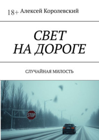 Свет на дороге. Случайная милость