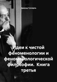 Идеи к чистой феноменологии и феноменологической философии. Книга третья