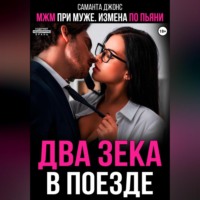 МЖМ при муже. Измена по пьяни. Два зека в поезде