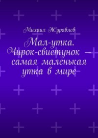 Мал-утка. Чирок-свистунок – самая маленькая утка в мире