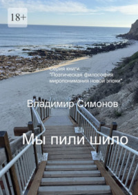 Мы пили шило. Серия: «Поэтическая философия миропонимания новой эпохи»