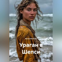 Ураган в Шепси