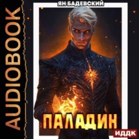 Инквизитор. Книга 5. Паладин