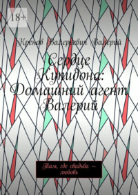 Сердце Купидона: Домашний агент Валерий. Там, где свадьба – любовь