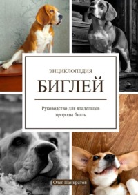 Энциклопедия биглей. Руководство для владельцев собак породы бигль