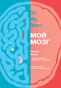 Мой мозг