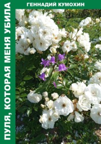 Пуля, которая меня убила.