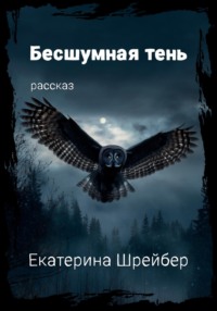 Бесшумная тень