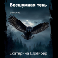 Бесшумная тень