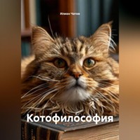 Котофилософия