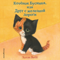 Котёнок Бусинка, или Друг с железной дороги