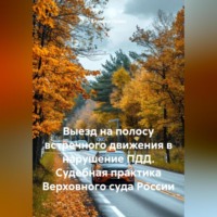 Выезд на полосу встречного движения в нарушение ПДД. Судебная практика Верховного суда России