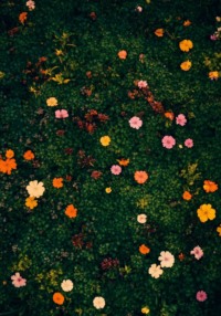 Один из нас умрет