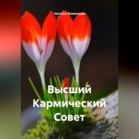 Высший Кармический Совет
