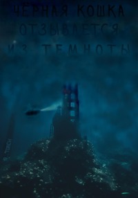 Чёрная кошка отзывается из темноты