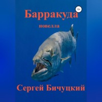Барракуда