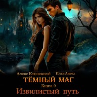 Тёмный маг. Книга 9. Извилистый путь