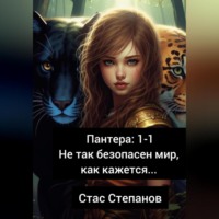 Пантера 1-1. Не так безопасен мир, как кажется…