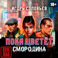 Пока цветет смородина