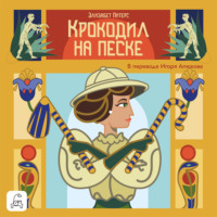 Крокодил на песке