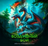 Воздушный бой