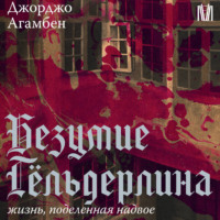 Безумие Гёльдерлина. Жизнь, поделенная надвое