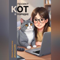 Проект «Кот в порядке»
