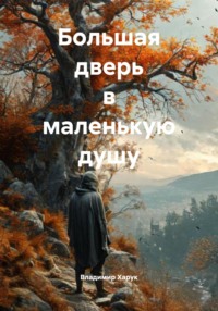 Большая дверь в маленькую душу