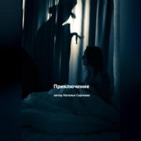 Приключение. Рассказ
