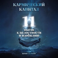 Кармический капитал: 11 шагов к целостности и изобилию