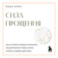 Сила прощения. Как оставить обиды в прошлом, исцелиться от гнева и жить в мире с собой и другими