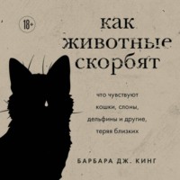 Как животные скорбят. Что чувствуют кошки, слоны, дельфины и другие, теряя близких