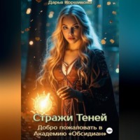 Стражи Теней. Добро пожаловать в Академию «Обсидиан»