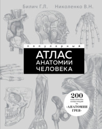 Популярный атлас анатомии человека. 200 классических иллюстраций из «Анатомии Грея»