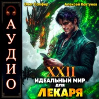 Идеальный мир для Лекаря 22