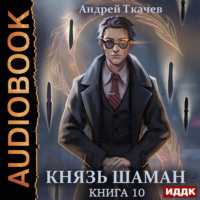 Князь шаман. Книга 10