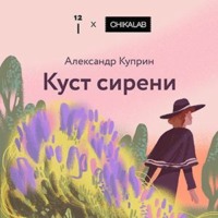 Куст сирени