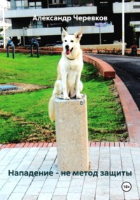 Нападение – не метод защиты