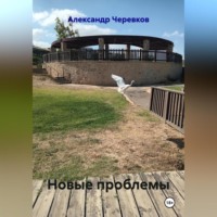 Новые проблемы