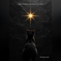 Мир глазами Мистера Полночь