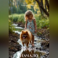 Новое начало
